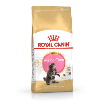 ROYAL CANIN Maine Coon Kitten - dry cat food - 2 kg