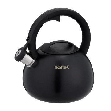 Non-Electric Kettle TEFAL N4180410, Black, Matte