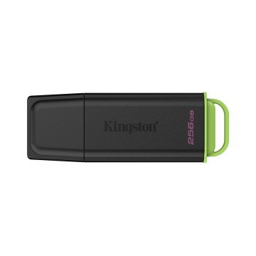 Kingston Technology DataTraveler 256GB Portable USB 3.2 Gen 1 Exodia Black/Green