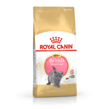 Royal Canin British Shorthair Kitten cats dry food 2 kg Poultry, Rice, Vegetable