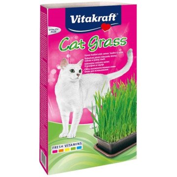 VITAKRAFT Cat Grass - Kit for cats - 120 VITAKRAFT Cat Grass - Kit for cats - 120