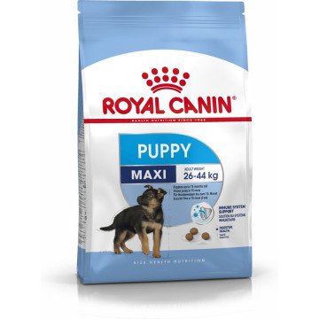 Royal Canin SHN Maxi Puppy - dry puppy food - 4kg Royal Canin SHN Maxi Puppy - dry puppy food - 4kg