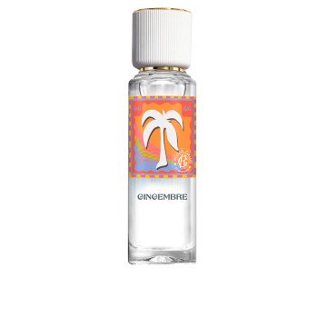 LES AVENTURES GINGEMBRE agua perfumada bienestar 30 ml LES AVENTURES GINGEMBRE agua perfumada bienestar 30 ml