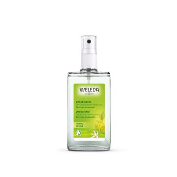 CITRUS deodorant 24h eficacia spray 100 ml CITRUS deodorant 24h eficacia spray 100 ml