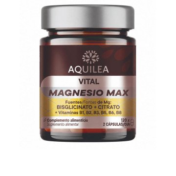 VITAL MAGNESIUM MAX capsules 120 u