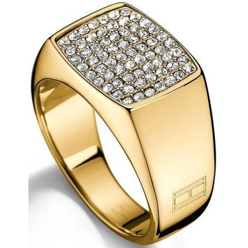 WOMEN RING TOMMY HILFIGER 2700733C (54 )