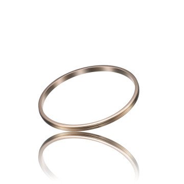 WOMAN BRACELET TIME FORCE TS5125BR ( )