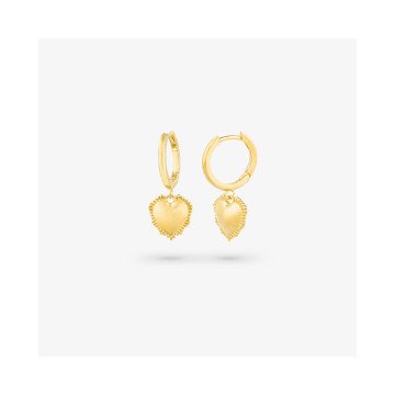WOMEN EARRINGS RADIANT RY000056 (2,5CM )