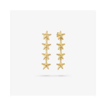 WOMEN EARRINGS RADIANT RY000136 (4CM )