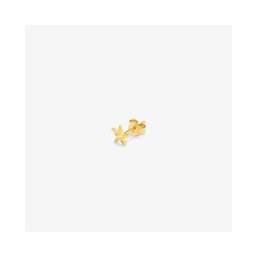 WOMEN PIERCING RADIANT RY000141 ( )