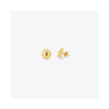 WOMEN EARRINGS RADIANT RY000153 (1CM )