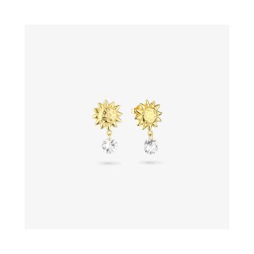 WOMEN EARRINGS RADIANT RY000154 (1,5CM )