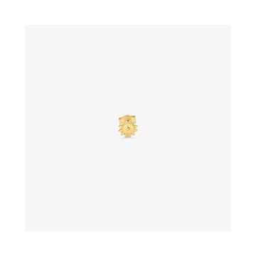 WOMEN EARRINGS RADIANT RY000155 (1CM )