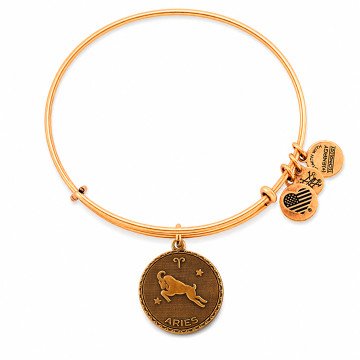 WOMEN BRACELET ALEX AND ANI A07EB40ARRG (19-25CM )