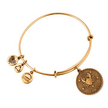 WOMEN BRACELET ALEX AND ANI A07EB40CNRG (19-25CM )