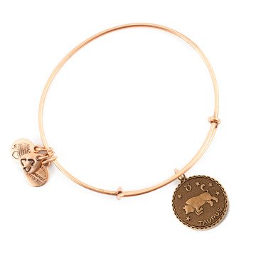 WOMEN BRACELET ALEX AND ANI A07EB40TARG (19-25CM )