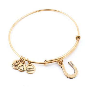 WOMEN BRACELET ALEX AND ANI A09EB141RG (19-25CM )
