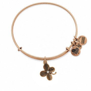 WOMEN BRACELET ALEX AND ANI A09EB143RG (19-25CM )
