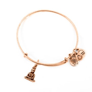 WOMEN BRACELET ALEX AND ANI A11EB106RG (19-25CM )