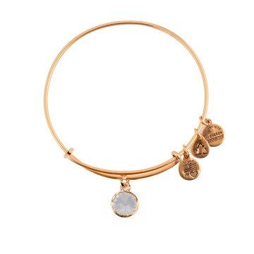 WOMEN BRACELET ALEX AND ANI A12EB243RG (19-25CM )