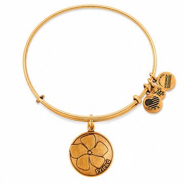 WOMEN BRACELET ALEX AND ANI A12EB51RG (19-25CM )