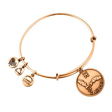 WOMEN BRACELET ALEX AND ANI A13EB01PIRG (19-25CM )