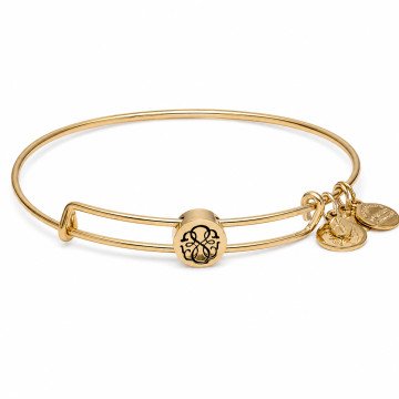 WOMEN BRACELET ALEX AND ANI SSEWB04G (20CM ) WOMEN BRACELET ALEX AND ANI SSEWB04G (20CM )