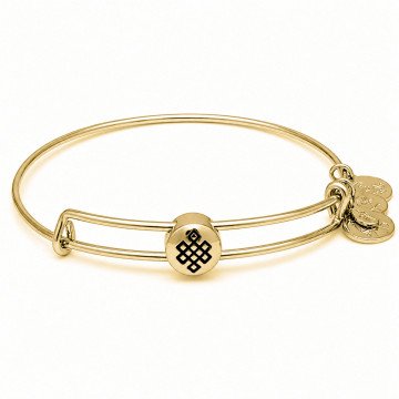 WOMEN BRACELET ALEX AND ANI SSEWB06G (20CM ) WOMEN BRACELET ALEX AND ANI SSEWB06G (20CM )