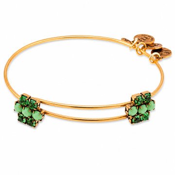 WOMEN BRACELET ALEX AND ANI A13EB75RG (20CM )