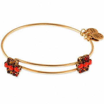 WOMEN BRACELET ALEX AND ANI A13EB77RG (20CM )