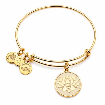 WOMEN BRACELET ALEX AND ANI A14EB54YG (20CM )