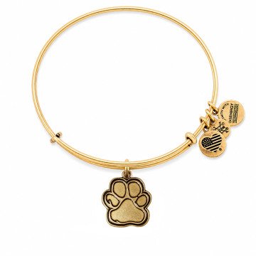 WOMEN BRACELET ALEX AND ANI CBD14POLRG (20CM ) WOMEN BRACELET ALEX AND ANI CBD14POLRG (20CM )