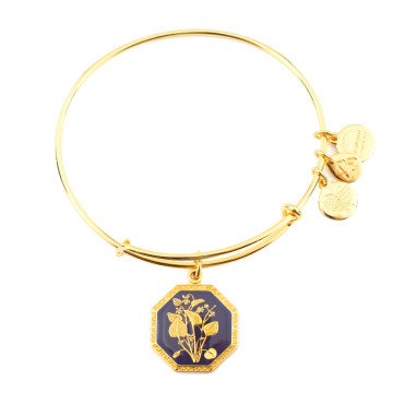 WOMEN BRACELET ALEX AND ANI A14EB90YG (20CM )