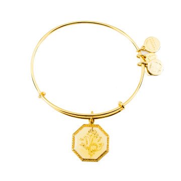 WOMEN BRACELET ALEX AND ANI A14EB92YG (20CM )