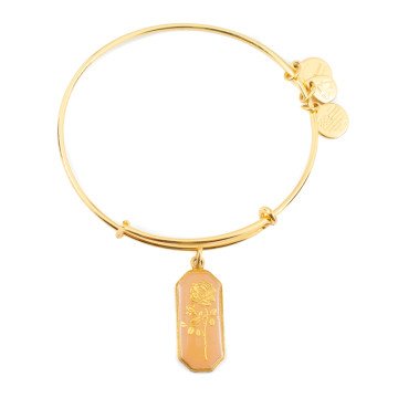 WOMEN BRACELET ALEX AND ANI A14EB94YG (20CM )