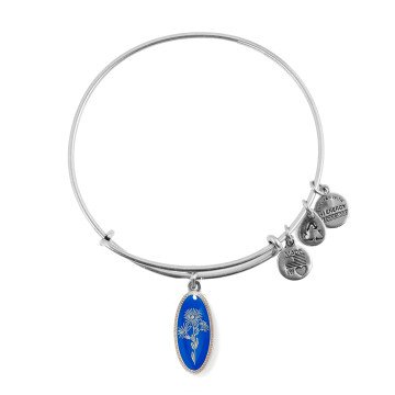 WOMEN BRACELET ALEX AND ANI A14EB97SS (20CM )
