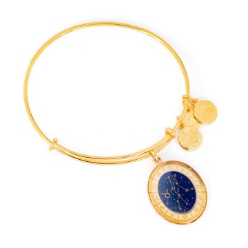 WOMEN BRACELET ALEX AND ANI A15EB68YG (20CM )