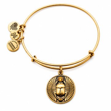WOMEN BRACELET ALEX AND ANI A16EBSCRG (20CM )