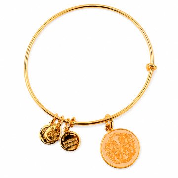 WOMEN BRACELET ALEX AND ANI A16EBPOLYG (20CM )