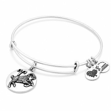 WOMEN BRACELET ALEX AND ANI A16EB50RS (20CM )