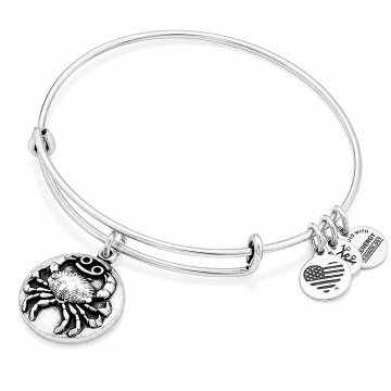 WOMEN BRACELET ALEX AND ANI A16EB52RS (20CM )