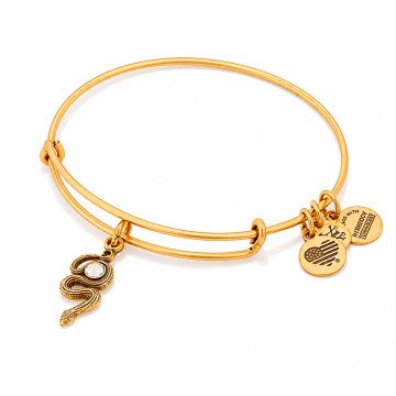 WOMEN BRACELET ALEX AND ANI A16EB68RG (20CM )