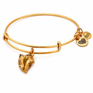 WOMEN BRACELET ALEX AND ANI A17EB73RG (20CM )
