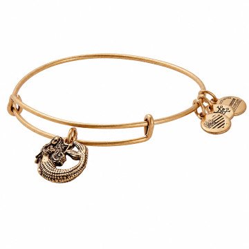 WOMEN BRACELET ALEX AND ANI A17EB74RG (20CM )