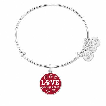 WOMEN BRACELET ALEX AND ANI A17EBWAP07SS (20CM )
