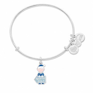 WOMEN BRACELET ALEX AND ANI A17EBHOL02SS (20CM )