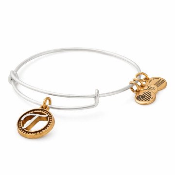 WOMEN BRACELET ALEX AND ANI A18EBINT20TTR (25CM ) WOMEN BRACELET ALEX AND ANI A18EBINT20TTR (25CM )